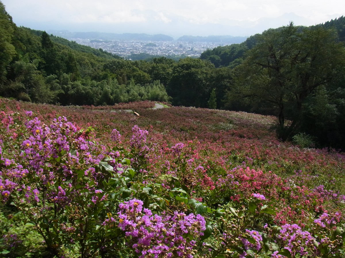 平成２７年９月２日（晴）