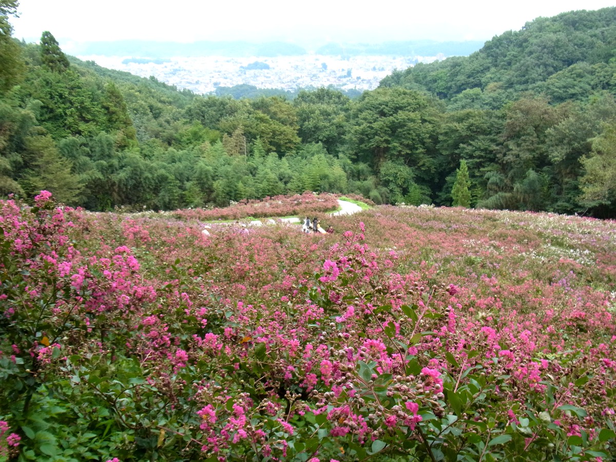 平成２７年９月５日（曇）