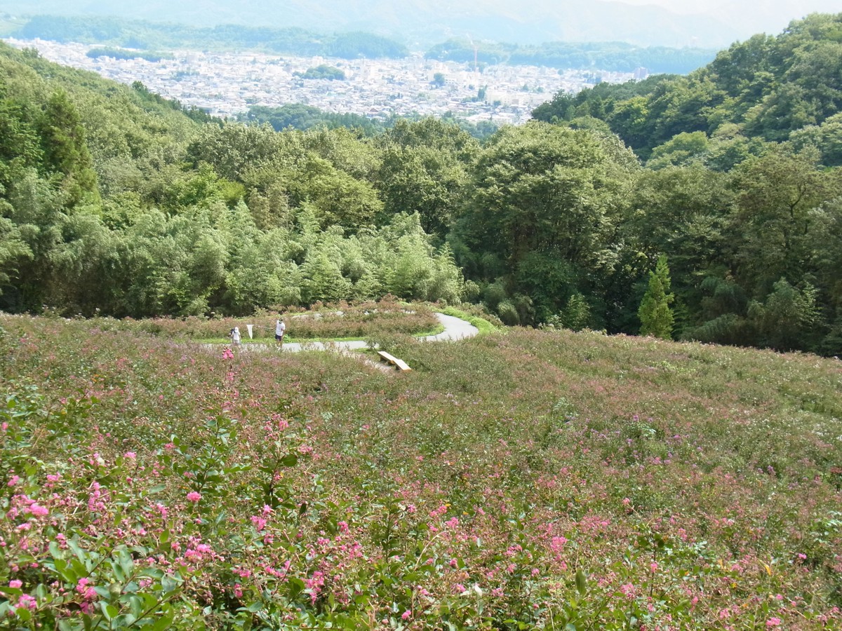 平成２７年９月１２日（晴）