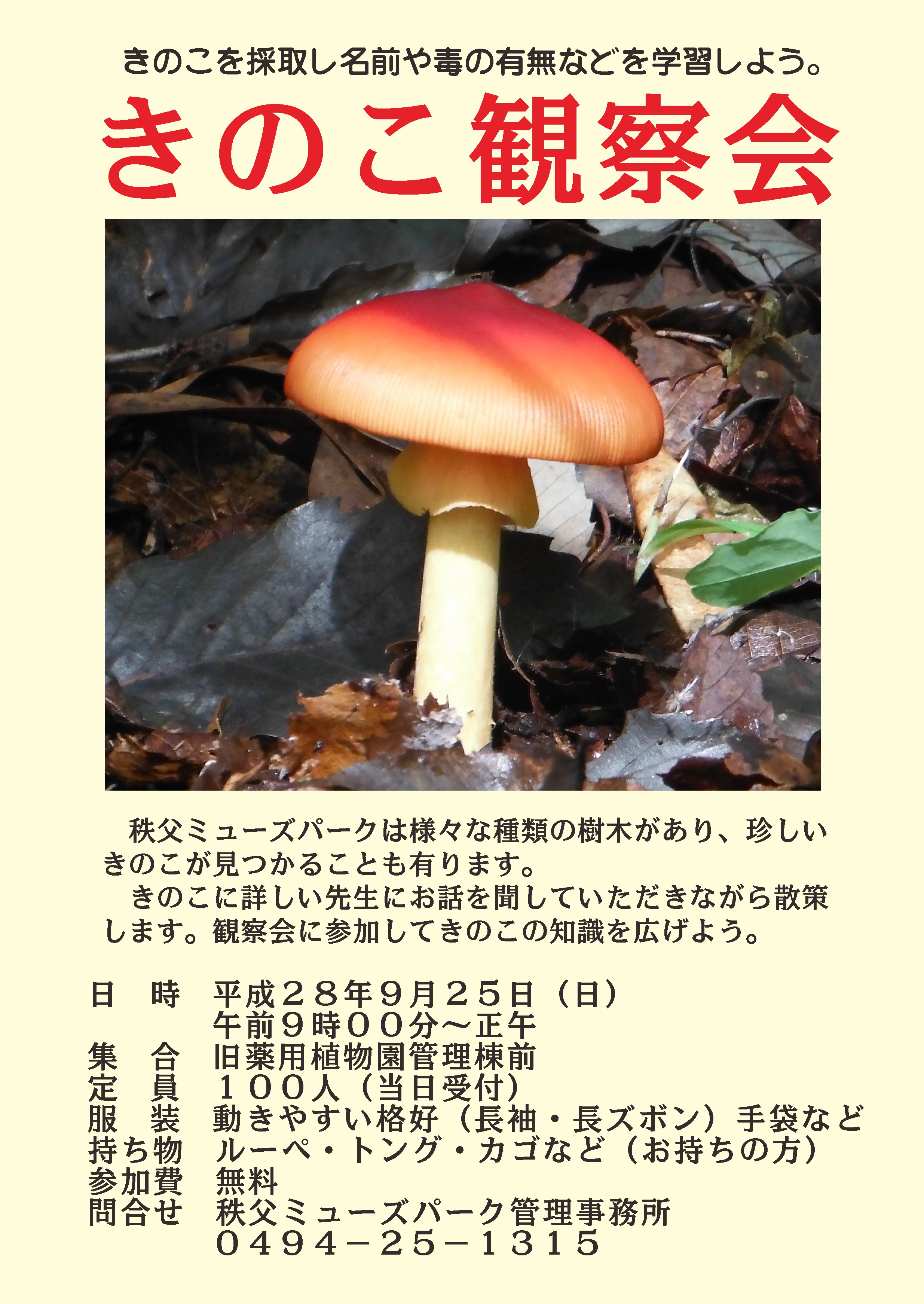 きのこ観察会　９月２５日開催