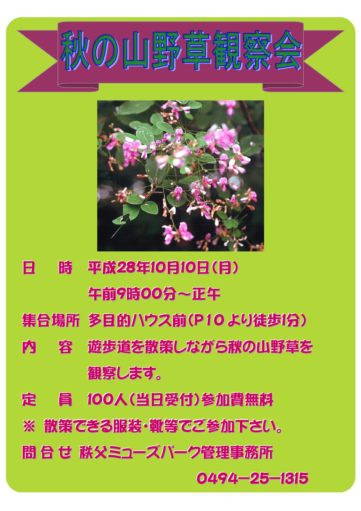 秋の山野草観察会