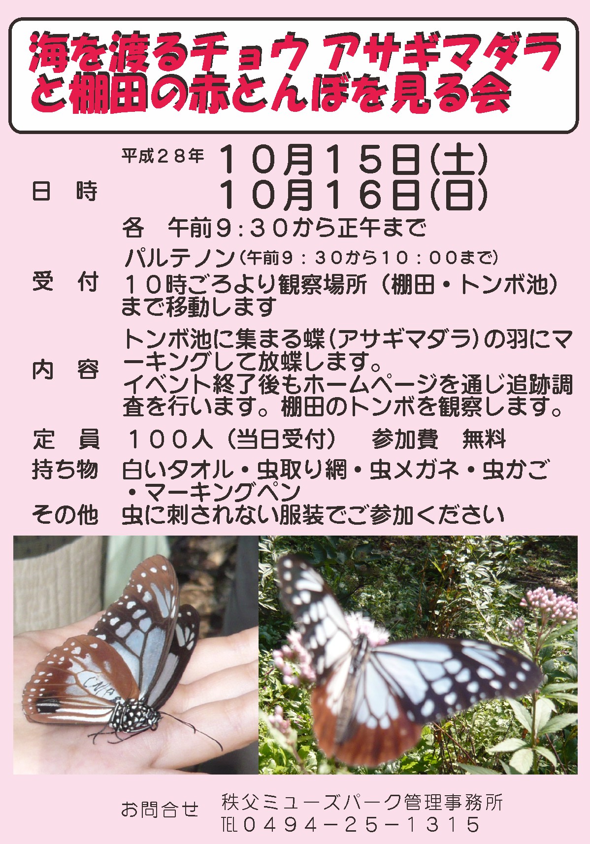 海を渡るチョウ アサギマダラと棚田の赤とんぼを見る会