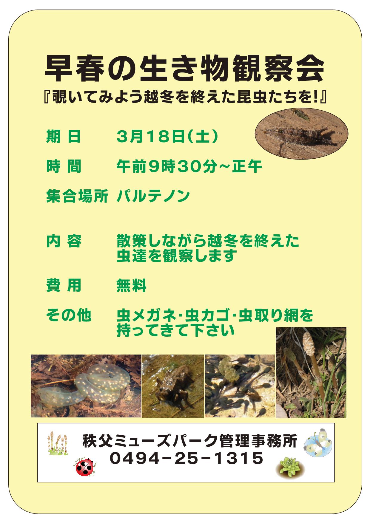 早春の生き物観察会
