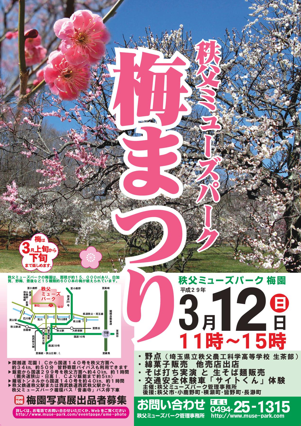 秩父ミューズパーク　梅園