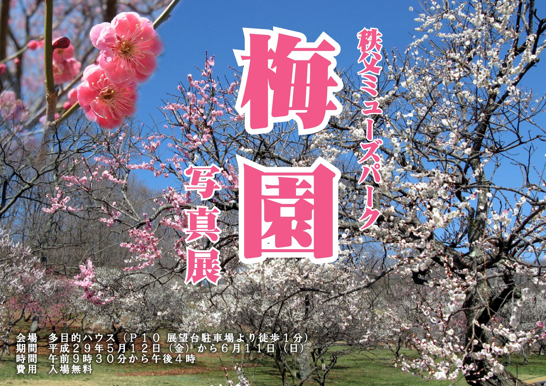 「秩父ミューズパーク　梅園」写真展