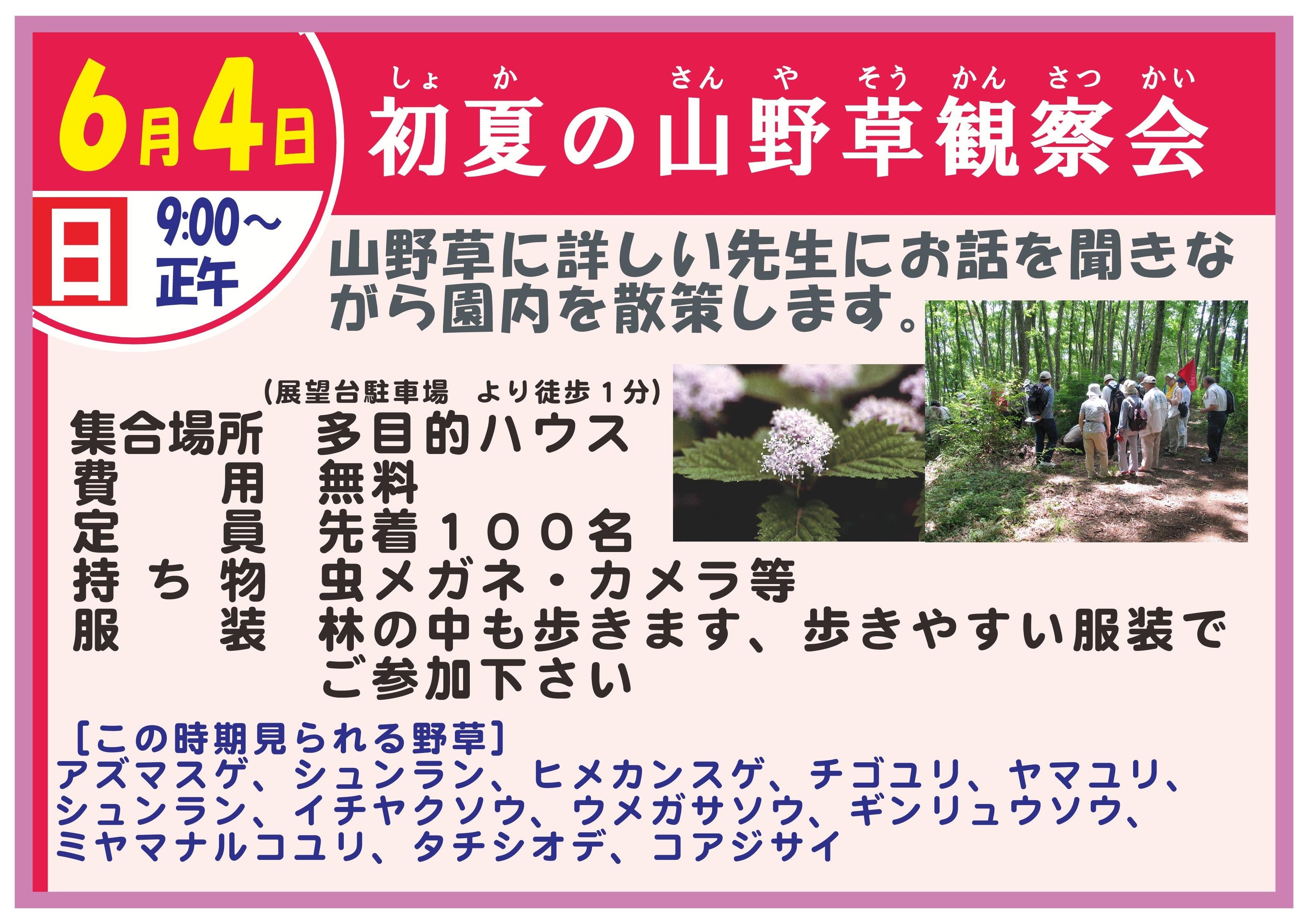春の山野草観察会