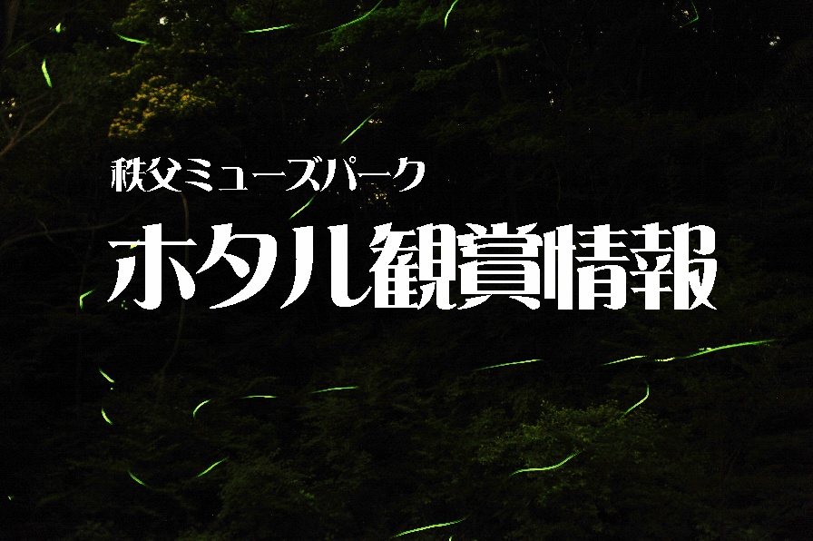 ホタル飛翔情報（終了）