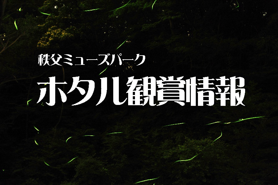 ホタル飛翔情報