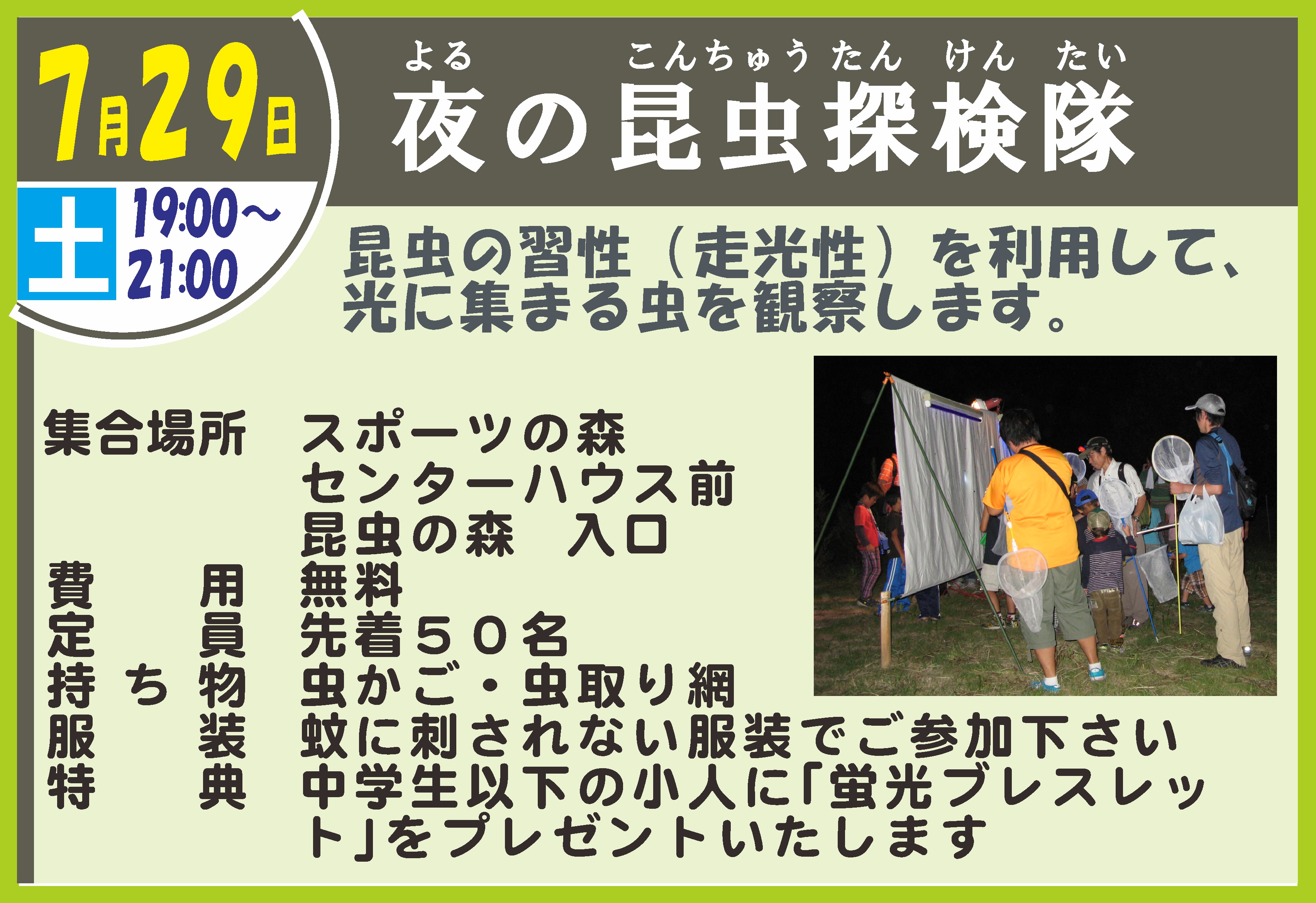 夜の昆虫探検隊