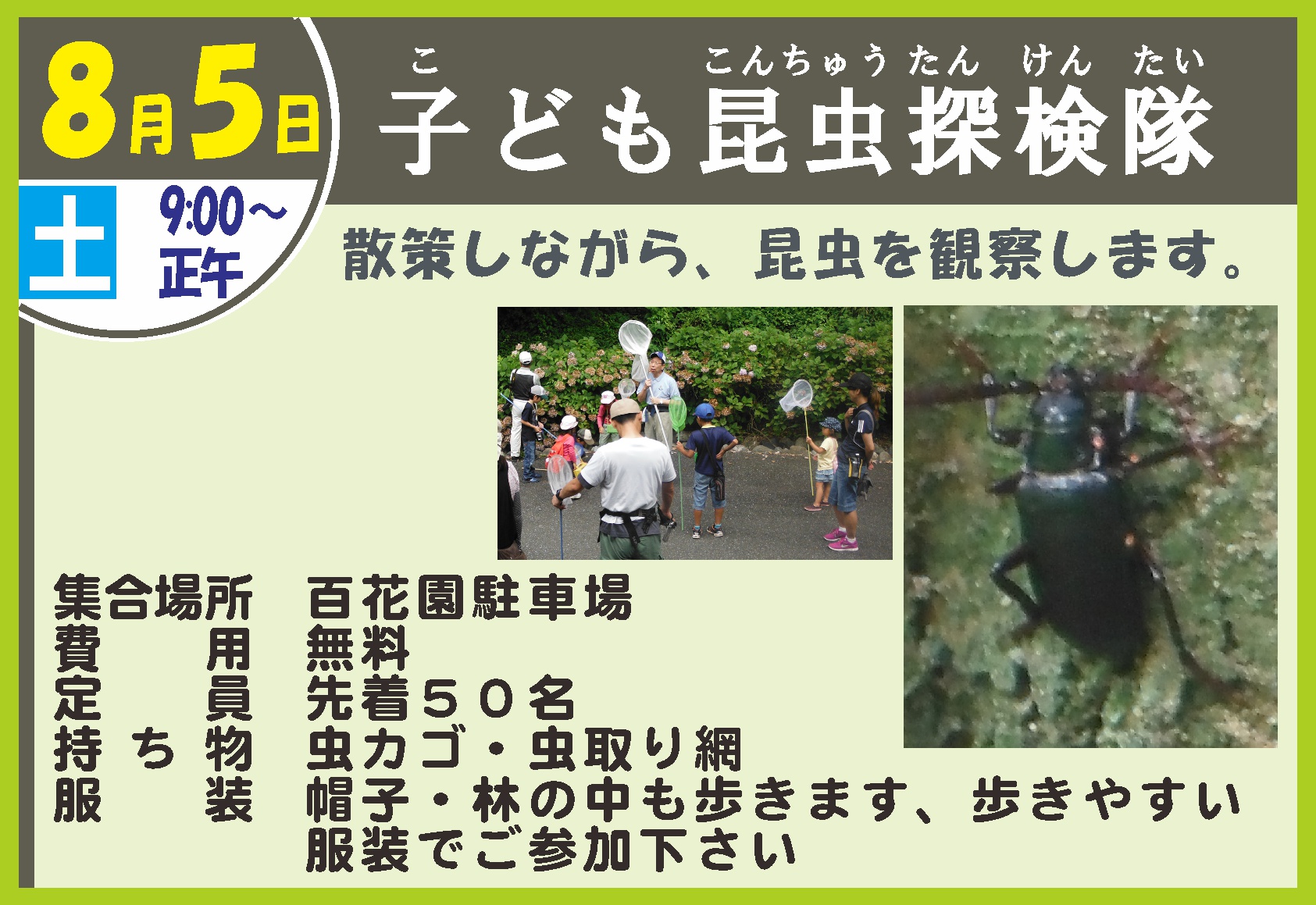 こども昆虫探検隊