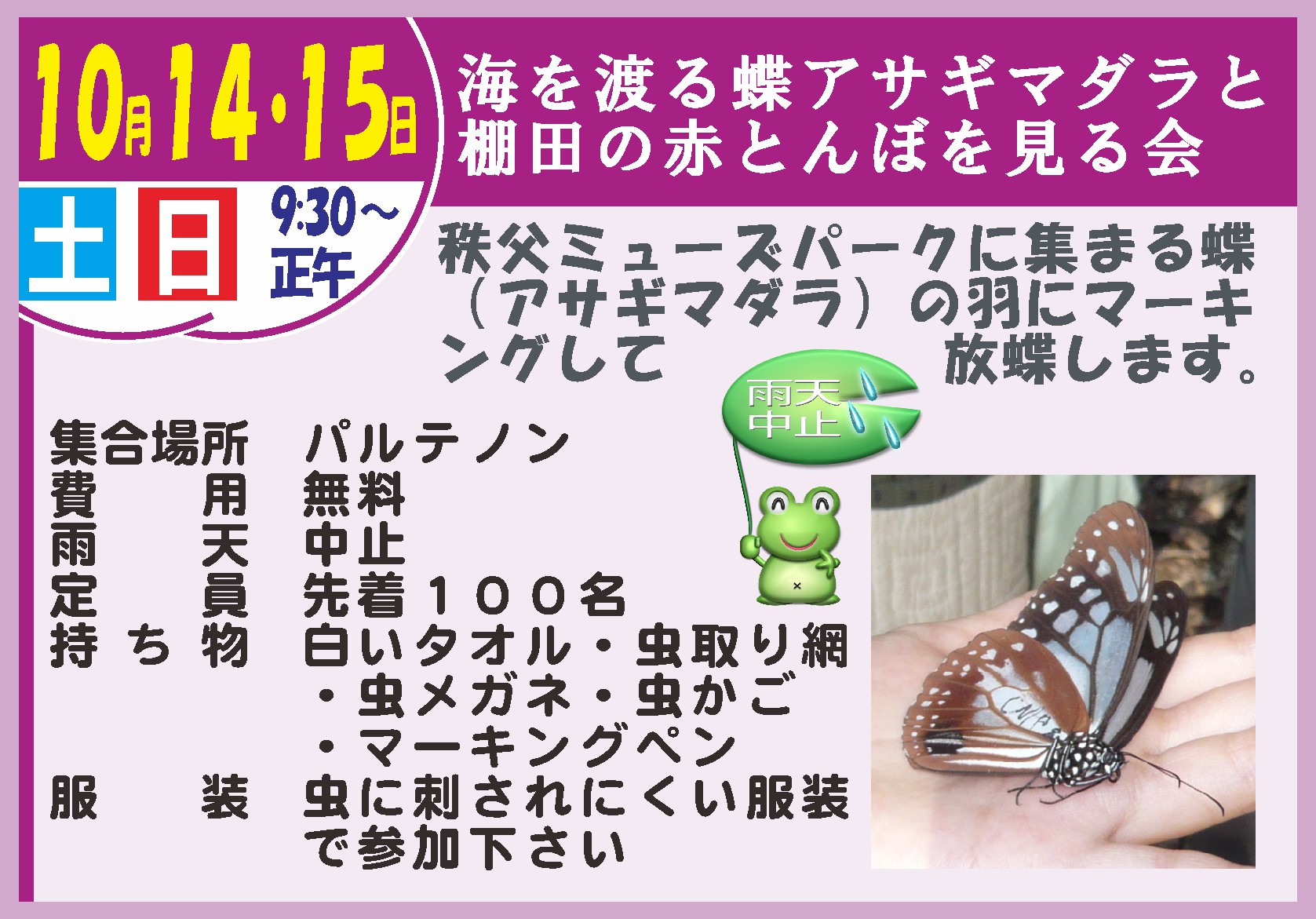 海を渡る蝶アサギマダラと棚田の赤とんぼを見る会