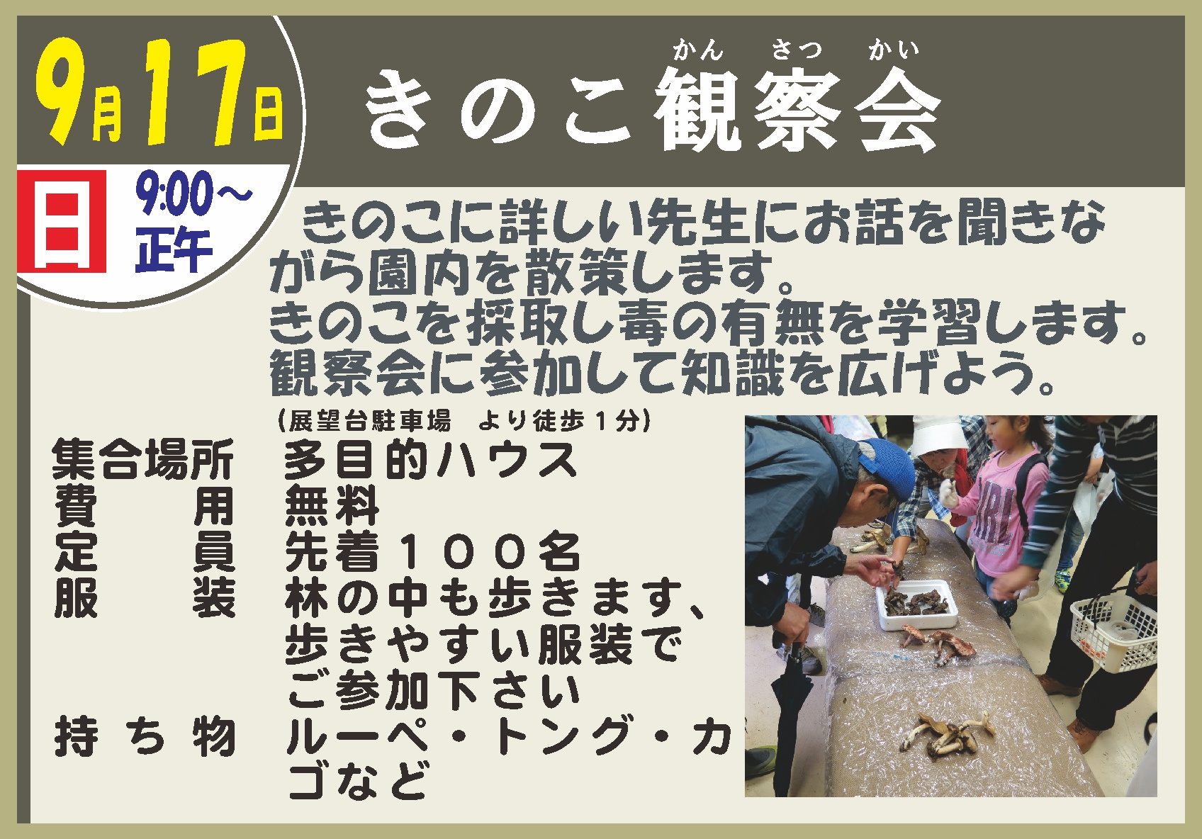 きのこ観察会