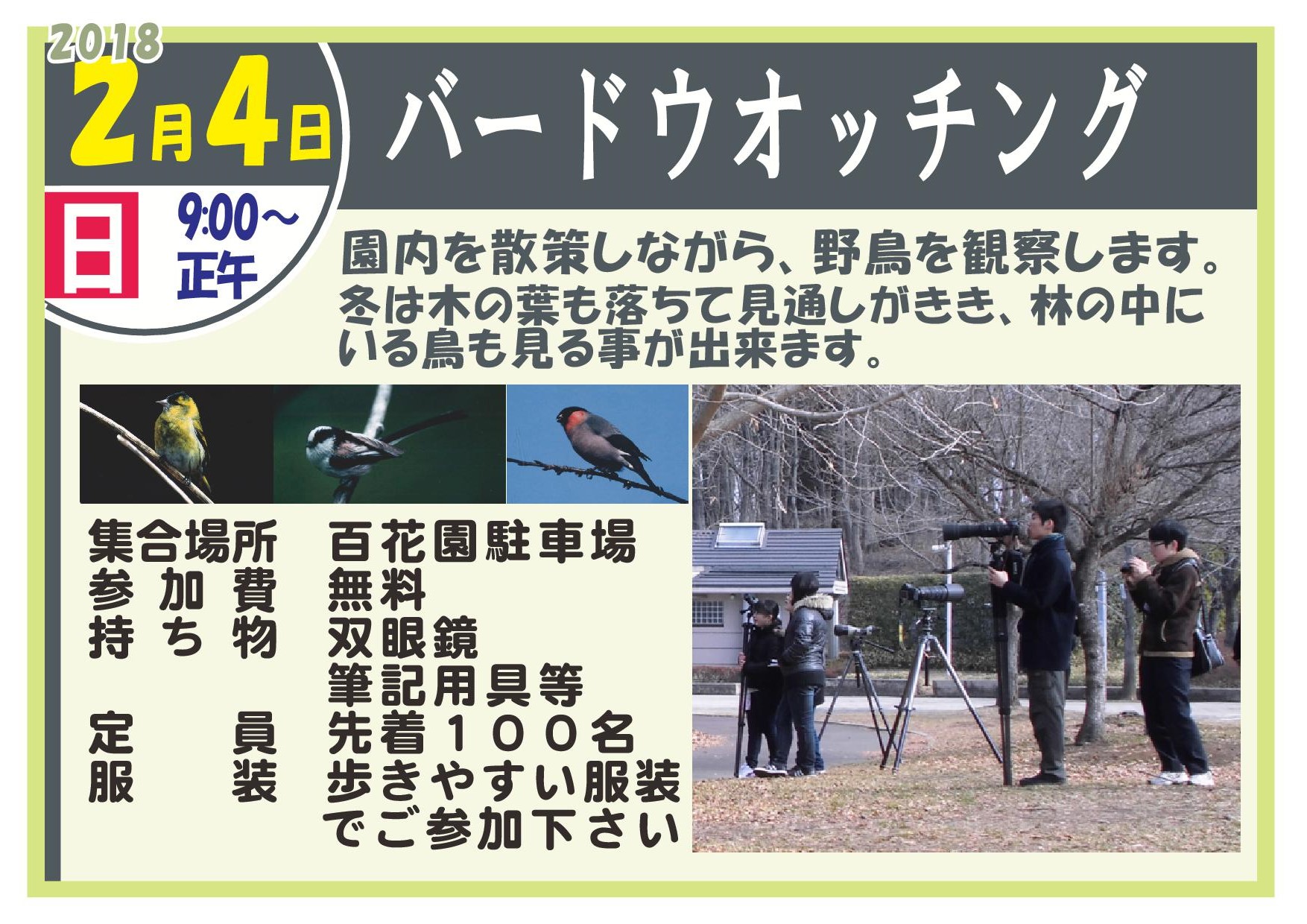 バードウォッチング