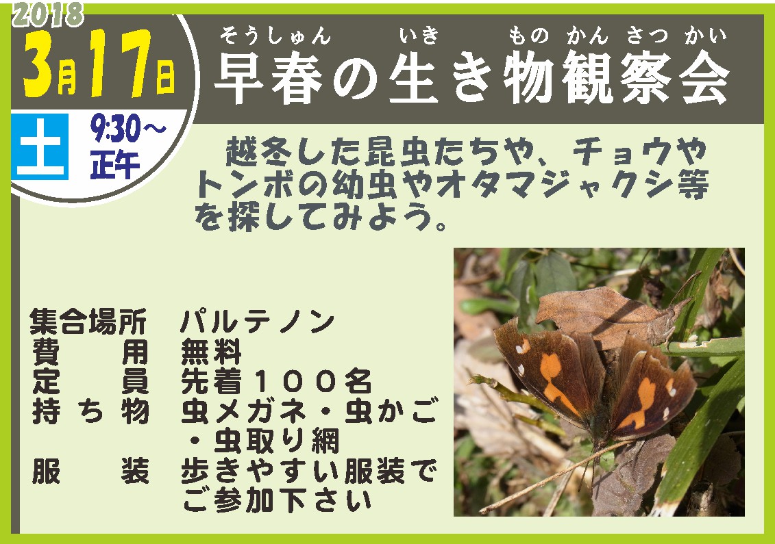 早春の生き物観察会