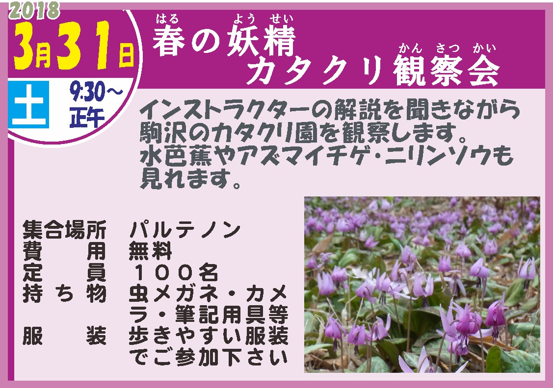 カタクリ観察会