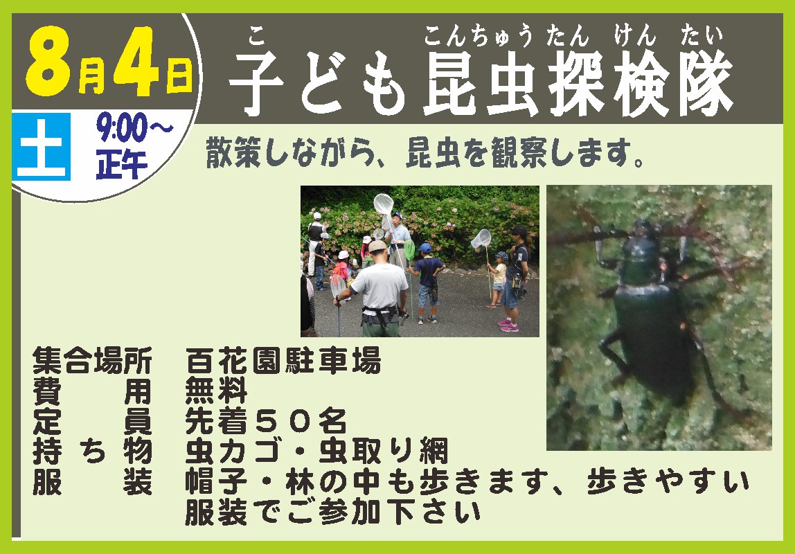 こども昆虫探検隊