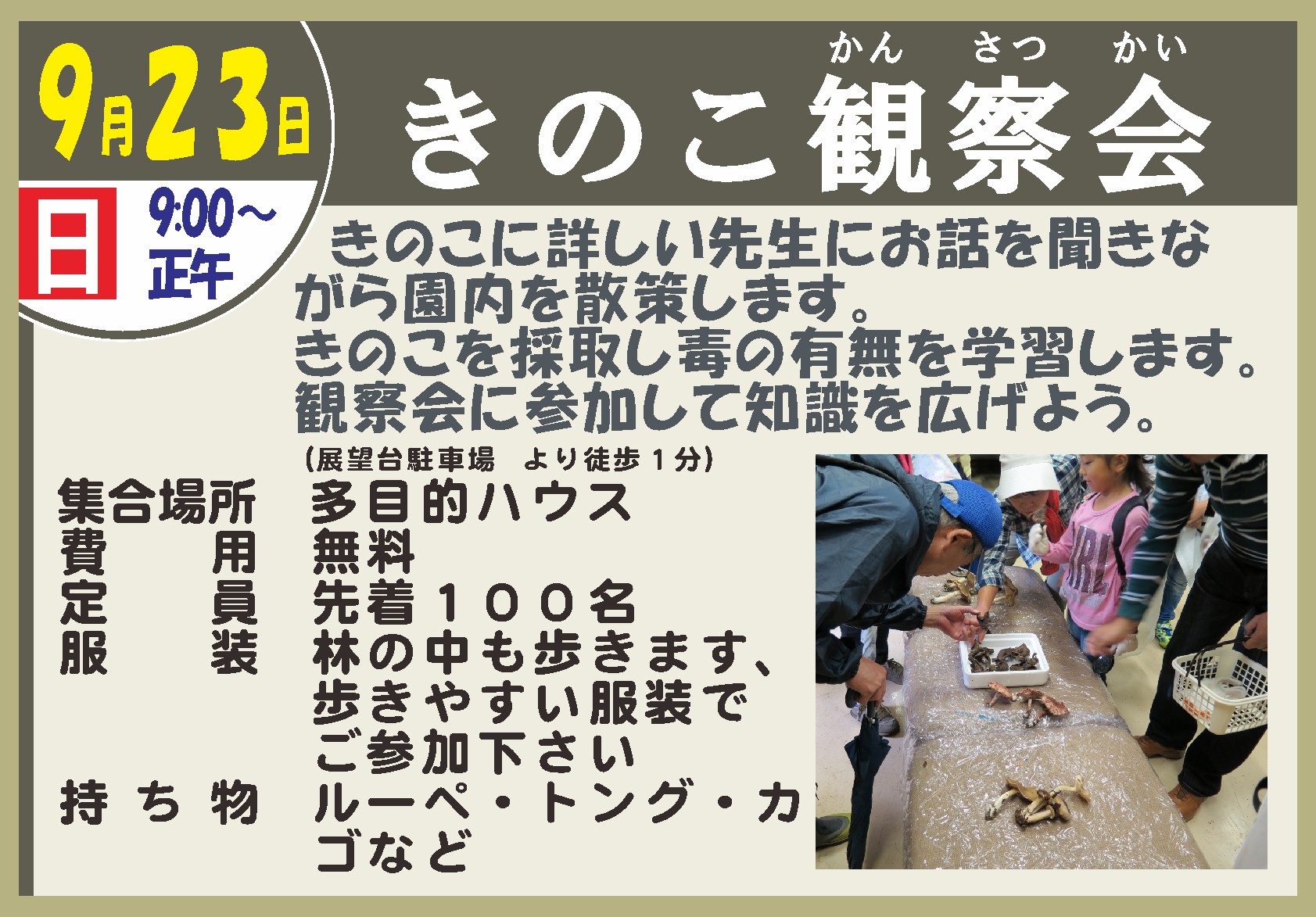 きのこ観察会