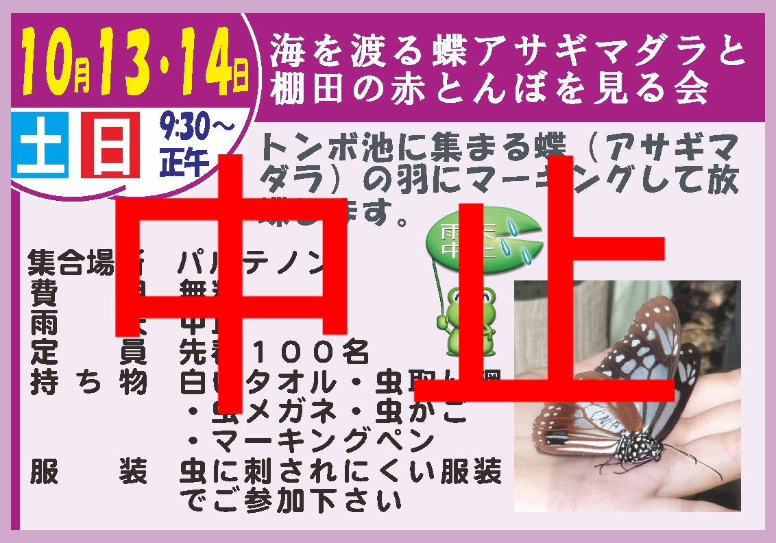 海を渡る蝶アサギマダラと棚田の赤とんぼを見る会