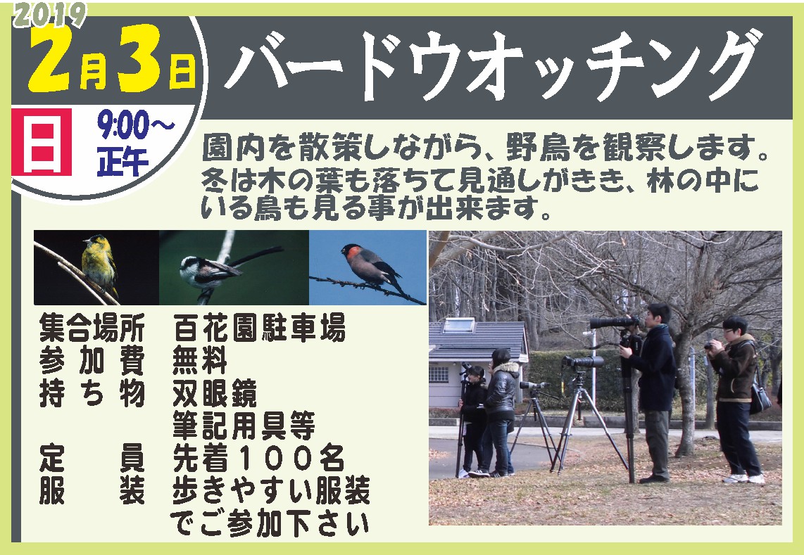 バードウオッチング