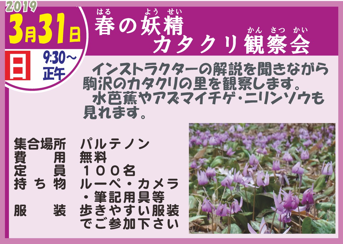 カタクリ観察会