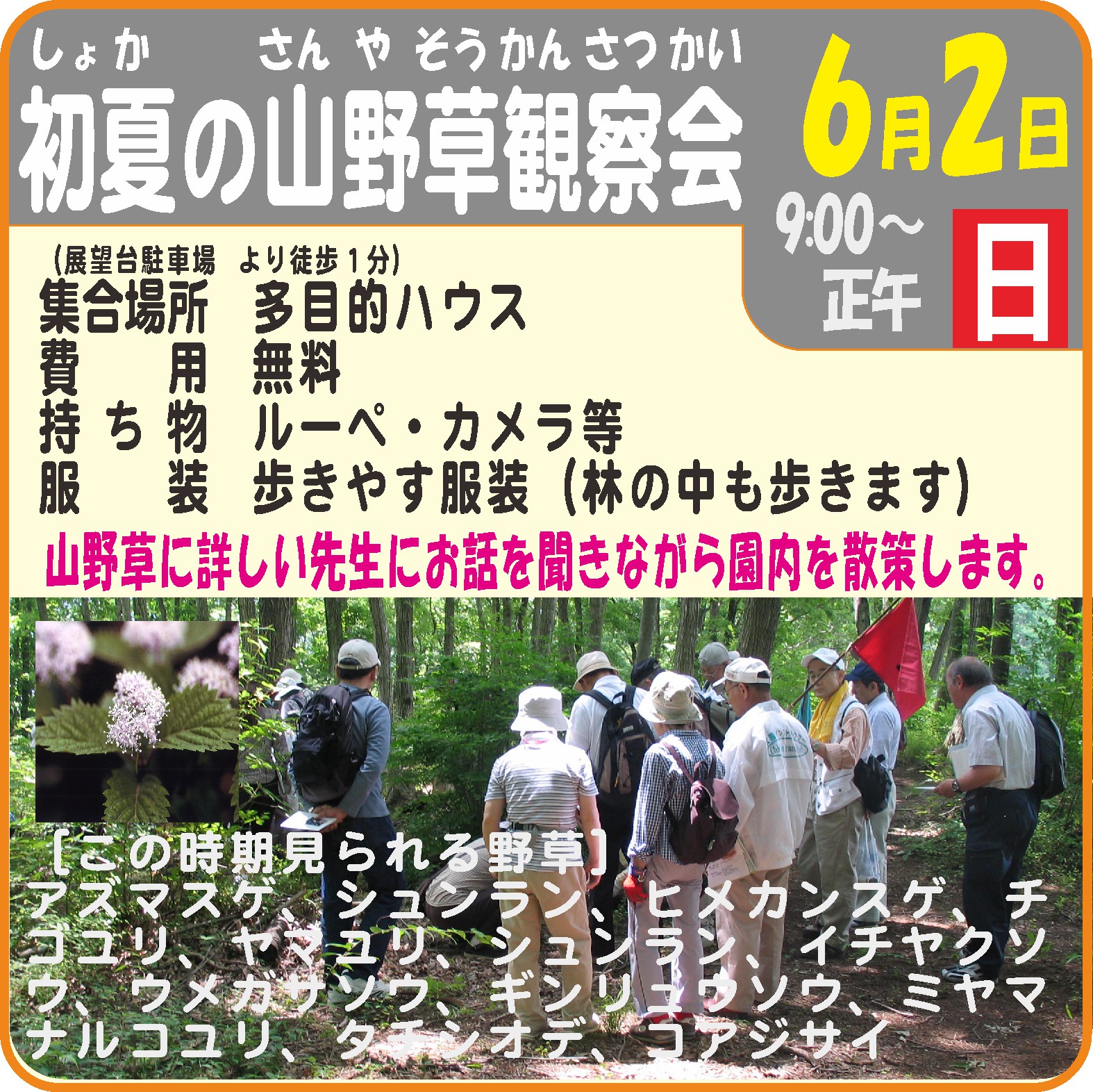 春の山野草観察会