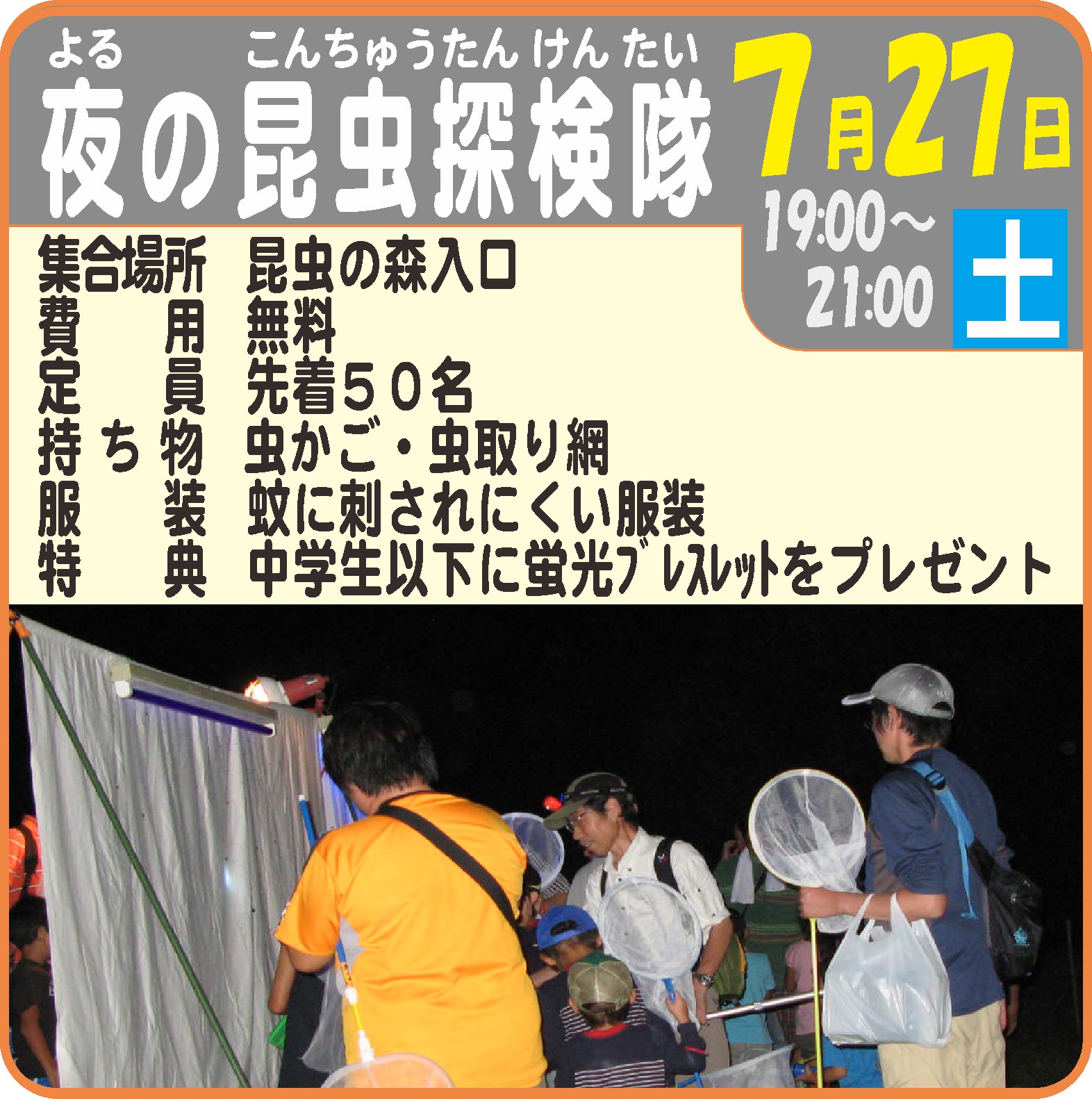 夜の昆虫探検隊