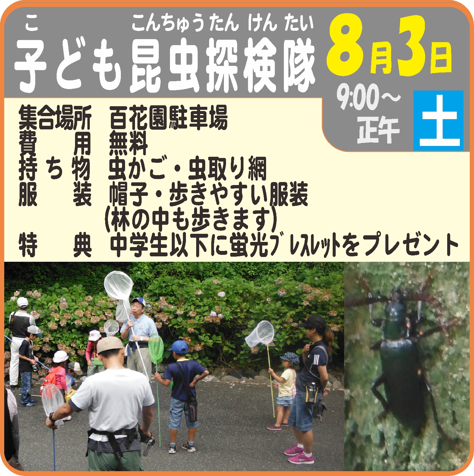 こども昆虫探検隊
