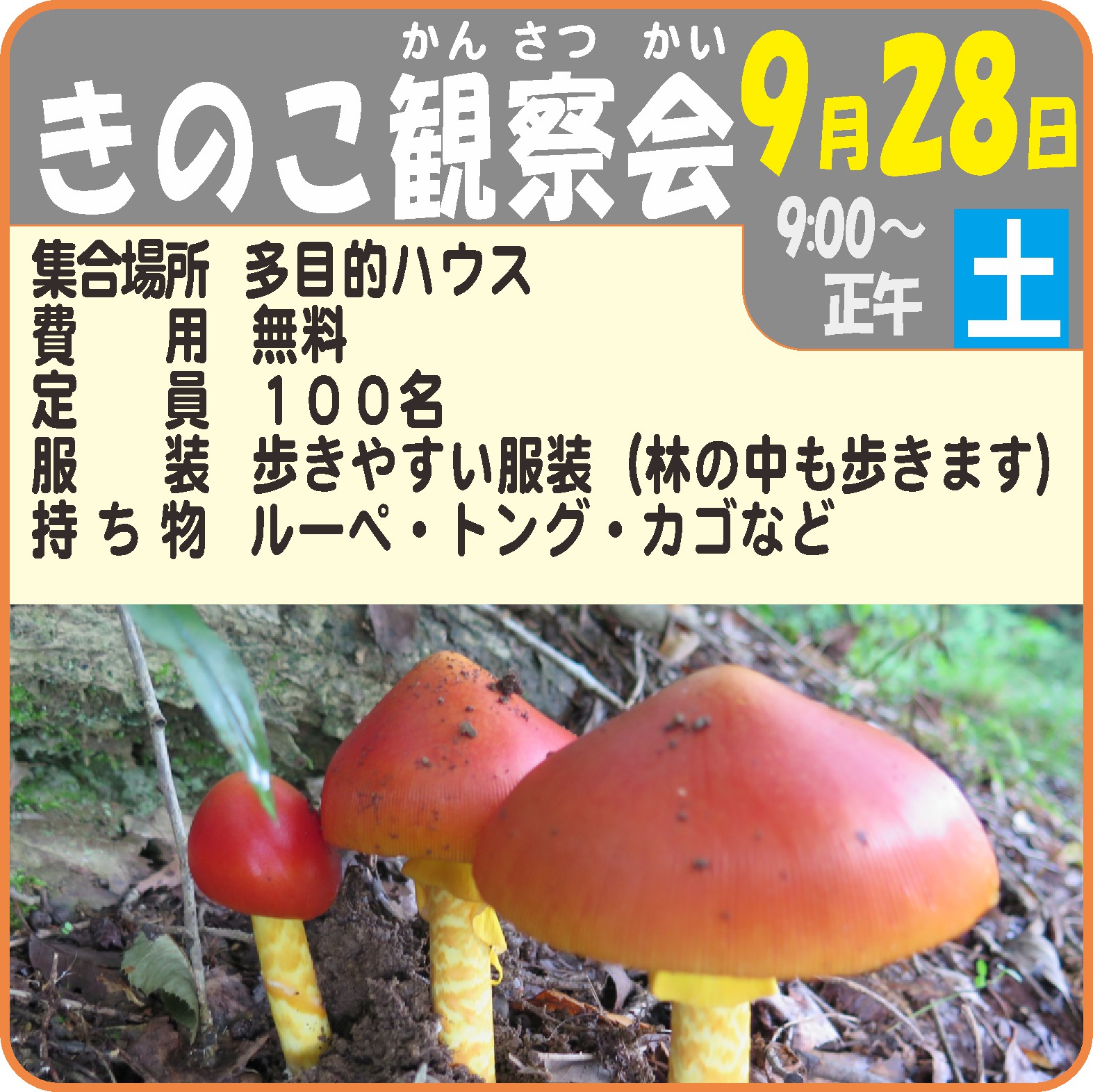 きのこ観察会