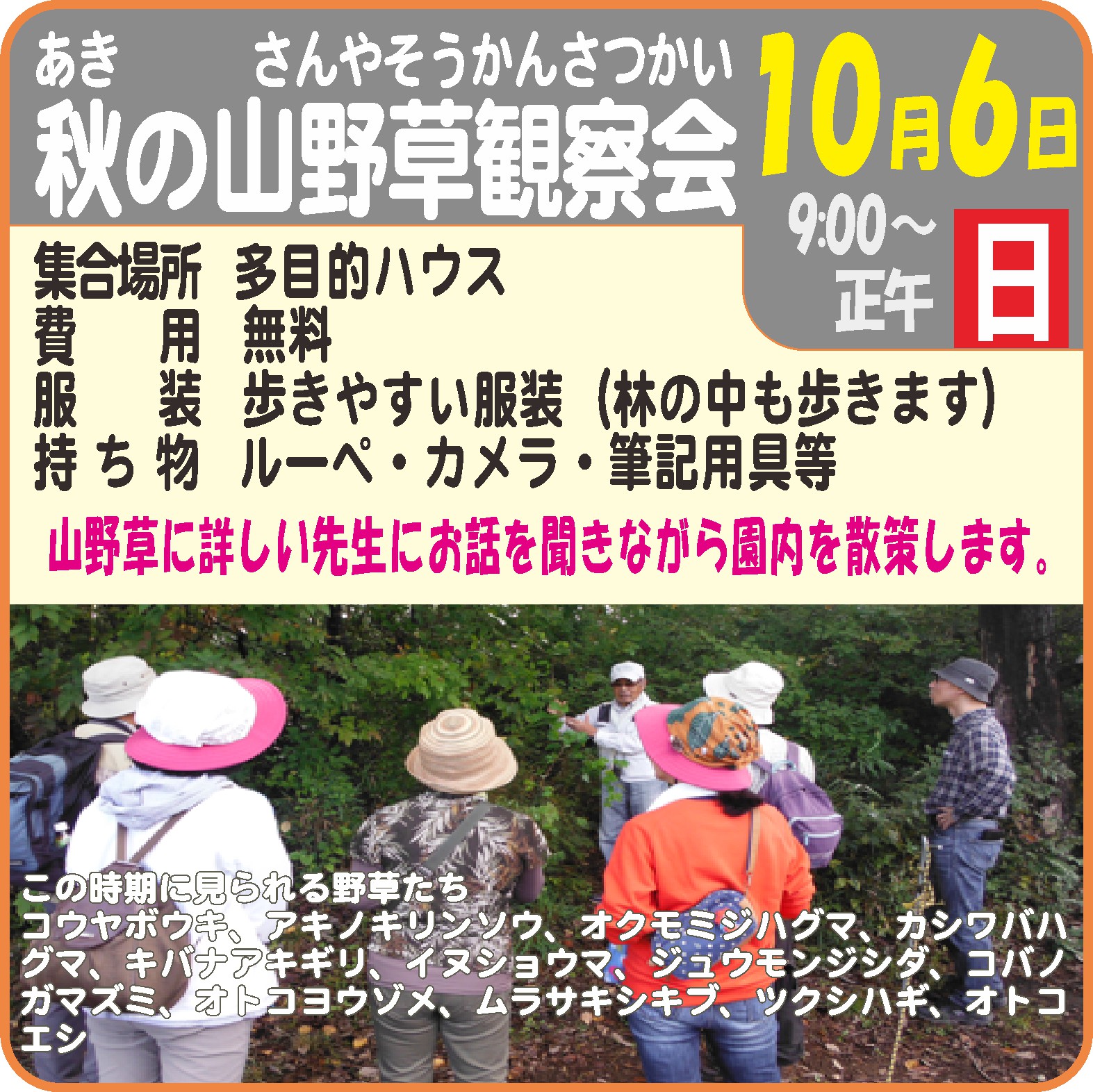 秋の山野草観察会