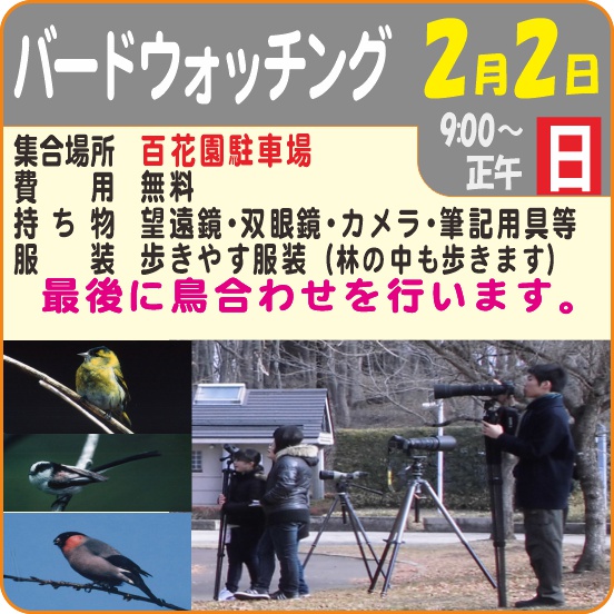 バードウオッチング