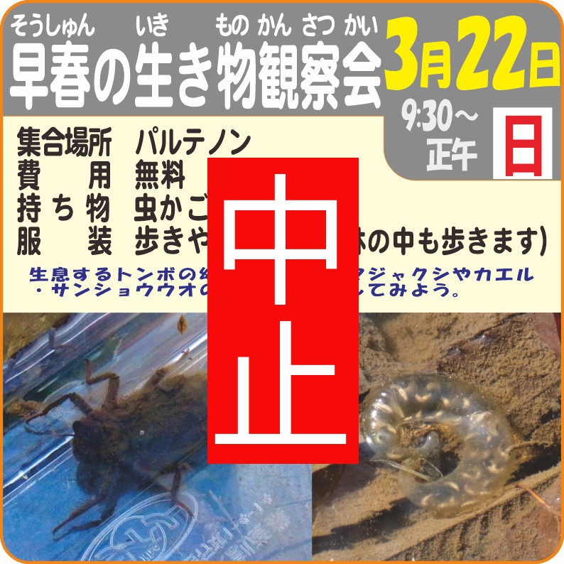 早春の生き物観察会