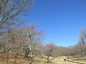 2021年2月20日