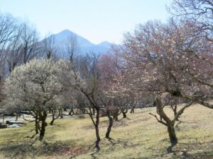 2021年2月20日