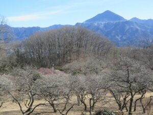 2021年2月24日