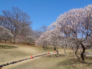 2021年3月11日