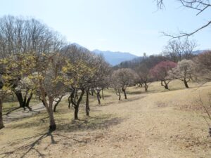 2021年2月28日