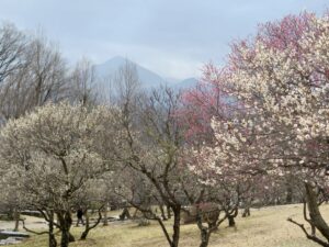 2021年3月2日