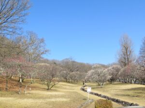 2021年3月4日