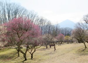 2021年3月4日