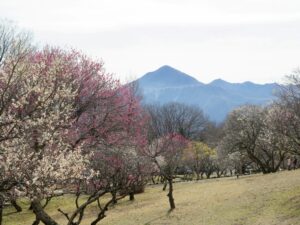 2021年3月6日