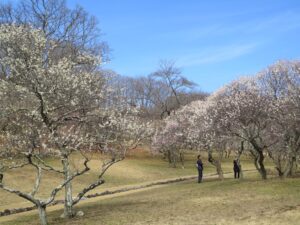 2021年3月6日