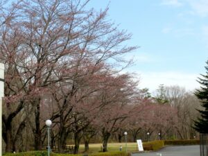 2021年3月22日