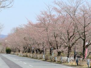 2021年3月24日