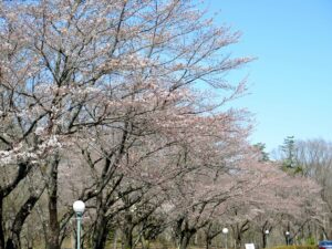 2021年3月24日