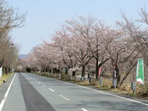 2021年3月26日　スポーツの森