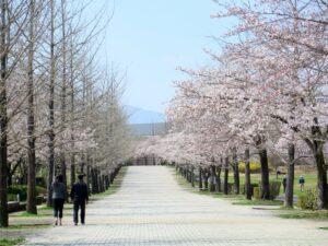 2021年3月26日　芝生広場