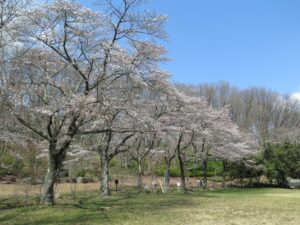 2021年3月26日　札所２３番