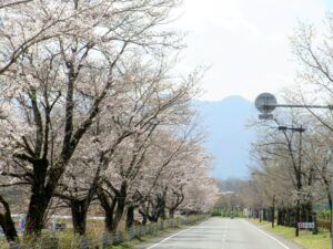 2021年3月26日　スポーツの森