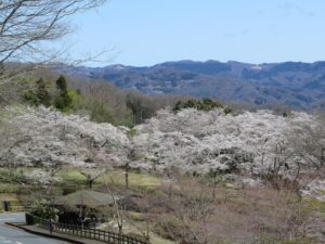 2021年3月29日