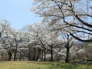 2021年3月29日